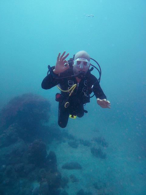 REEF SHEPHERD PROFESSIONAL DIVE CENTER - Dive Center in Colombia