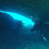Picture taken during the dive