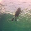 Picture taken during the dive