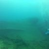 Picture taken during the dive