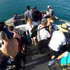 Picture taken during the dive
