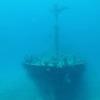 Picture taken during the dive