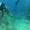 Picture taken during the dive