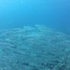 Picture taken during the dive