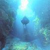Picture taken during the dive