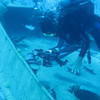 Picture taken during the dive