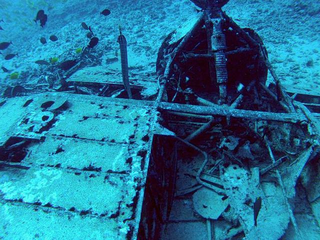 Hawaii Nautical - Dive Center in United States