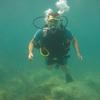 Picture taken during the dive