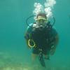 Picture taken during the dive